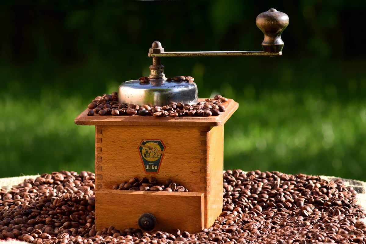 3 conseils pour choisir votre moulin à café